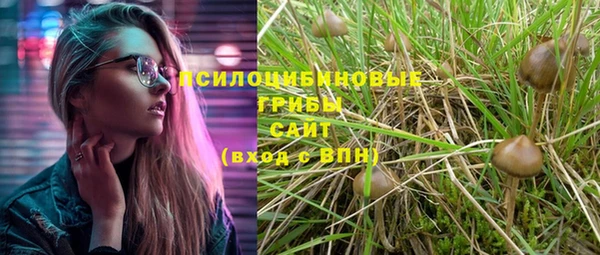 крисы Новокубанск